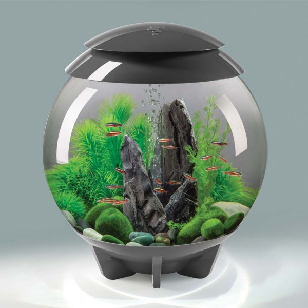 Biorb aquaria