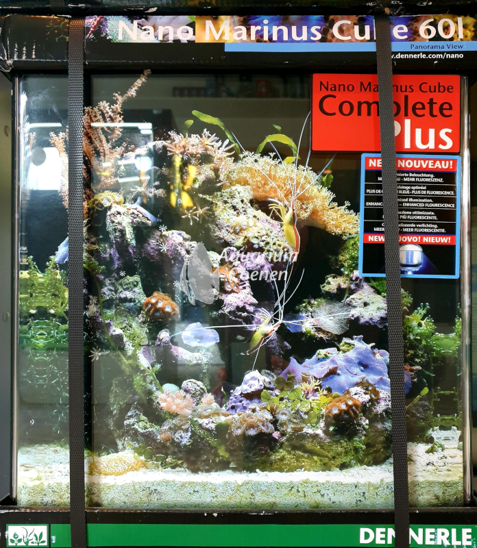 Dennerle Marinus Cube 60