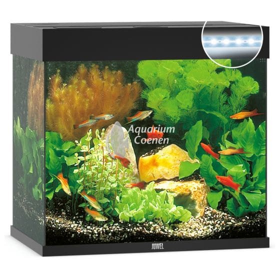 verhoging zakdoek Trein Juwel Aquarium Lido 120 LED - Aquarium Coenen