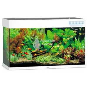Een Juwel Aquarium Rio 125 LED Wit.