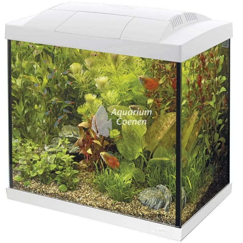 Superfish Start 30 Tropical Kit