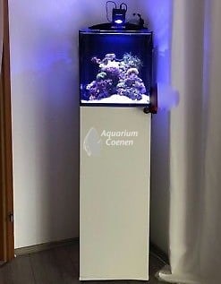 Aqua Medic Blenny Qube