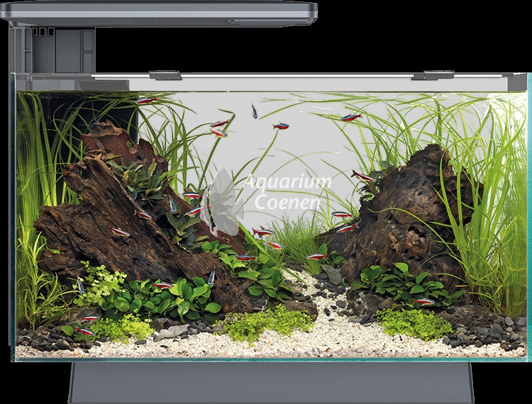 Superfish Quadro 70 Pro