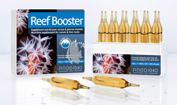 Een Prodibio Reef Booster Standaard 12.