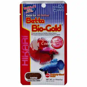 Een Hikari Betta Biogold 5.