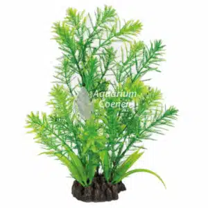 Een Superfish Art Plant 25 cm Hottonia.
