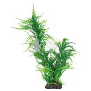 Een Superfish Art Plant 25 cm Microsorum.