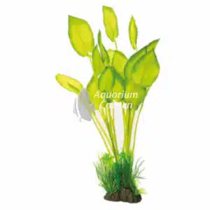 Een Superfish Art Plant 40 cm Echinodurus.