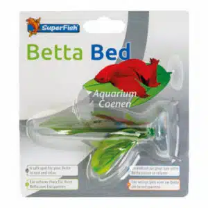 Een Superfish Betta Bed 2 Leaves.