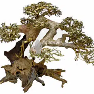 Een Superfish Bonsai Driftwood L.