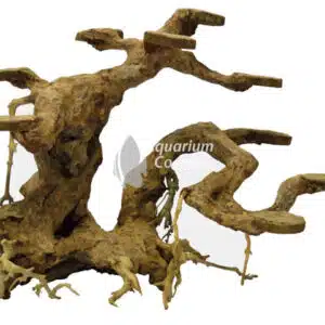 Een Superfish Bonsai Planter Medium.