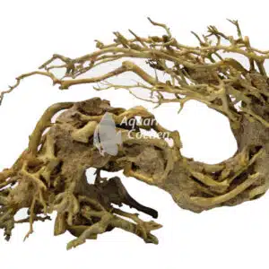 Een Superfish Bonsai Wave Medium.