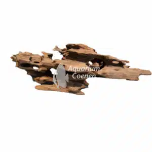 Een Superfish Honeycomb Wood Small.