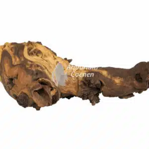 Een Superfish Mopani Wood Medium.