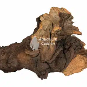 Een Superfish Mopani Wood Small.