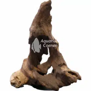 Een Superfish Mopani Wood X-Small.