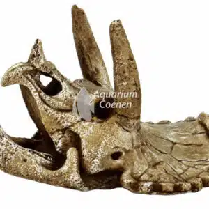 Een Superfish Skull Triceratops M.