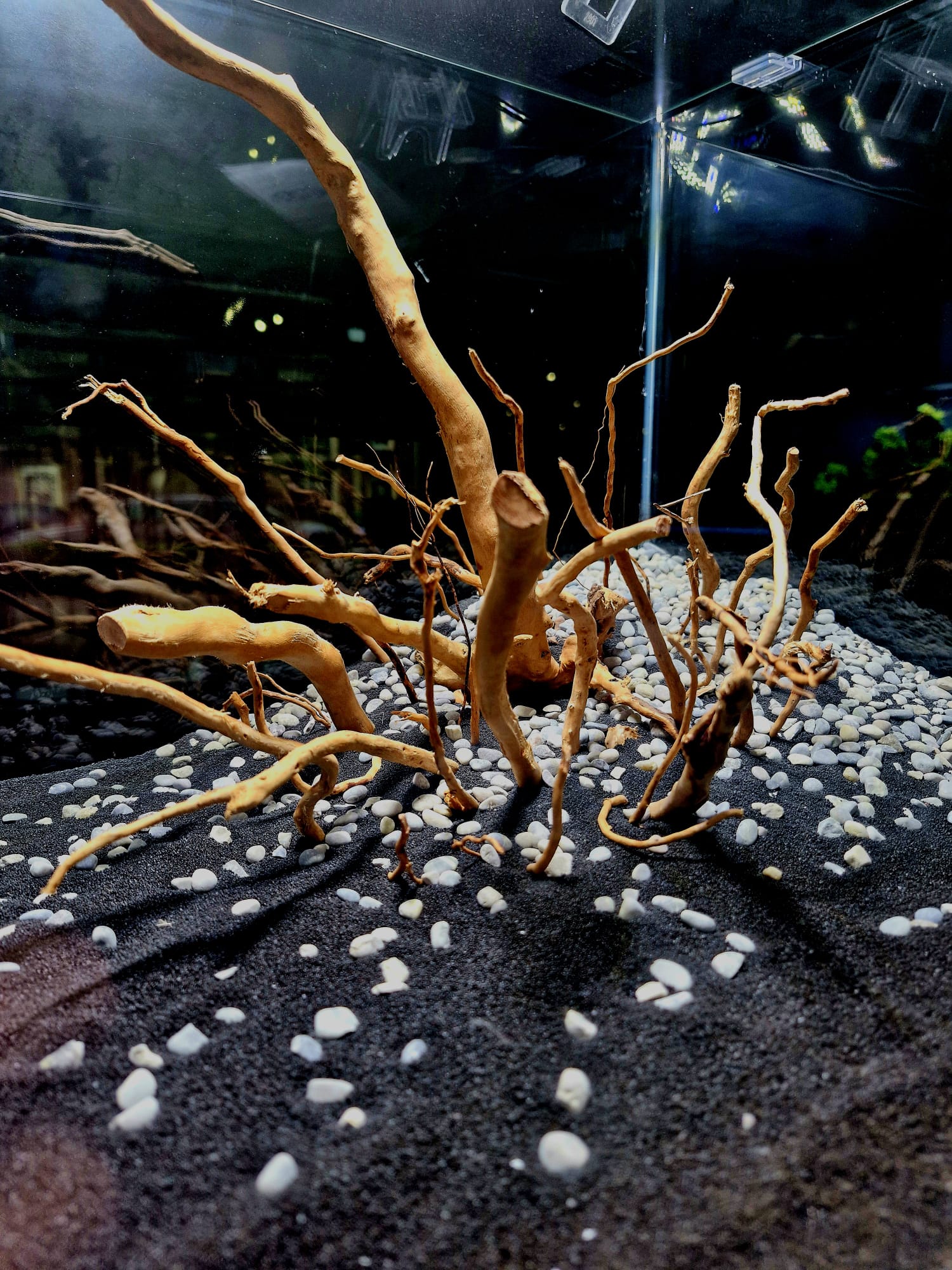 aquarium-coenen-diensten-inrichting