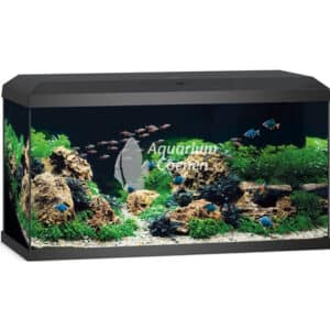 Een Juwel Aquarium Primo 110 2.0 Zwart.