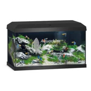 Een Juwel Aquarium Primo 60 2.0 Zwart.