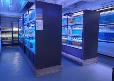 Aquarium Coenen Best zeewaterafdeling