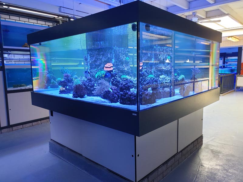 Bekwaamheid Methode boot aquaria | winkel | zeewater | zoetwater | showroom | aquarium Coenen