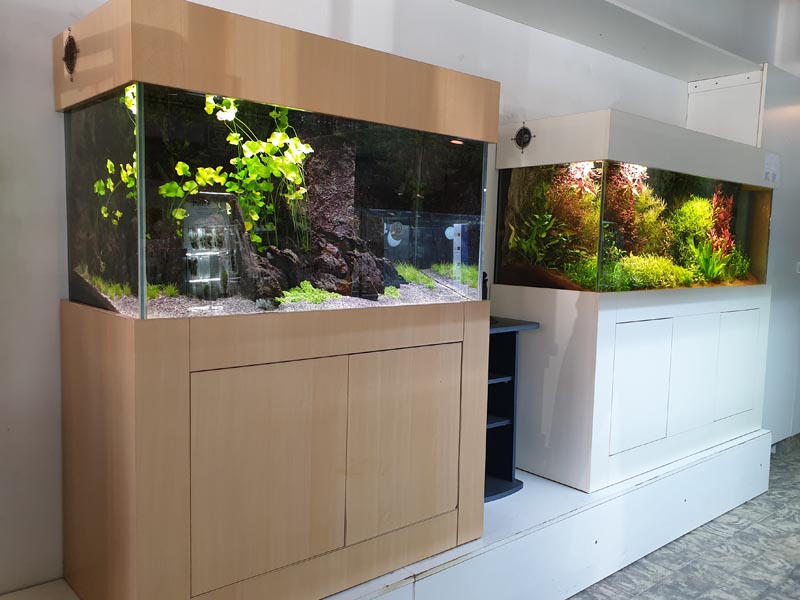 aquaria | | zeewater zoetwater | showroom aquarium Coenen